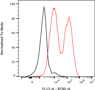 Rabbit-anti SERPINF1 monoclonal antibody