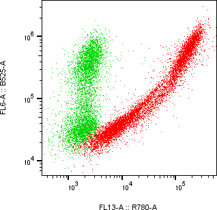 Rabbit-anti IL17-F monoclonal antibody
