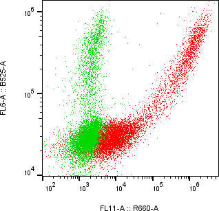 Rabbit-anti SERPINI2 monoclonal antibody
