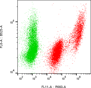 Rabbit-anti PRAP1 monoclonal antibody