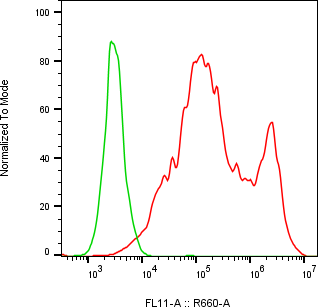 Rabbit-anti CNTFR monoclonal antibody