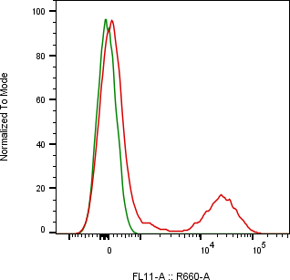 Rabbit-anti IL1RAP monoclonal antibody