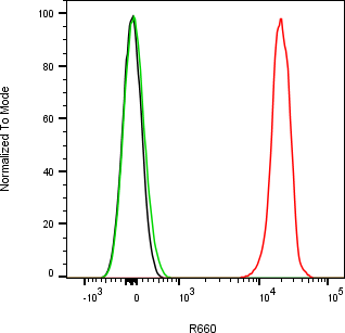 Rabbit-anti SPARC monoclonal antibody