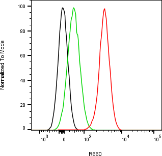 Rabbit-anti EPGN monoclonal antibody