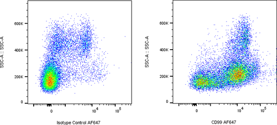 Rabbit-anti CD99 monoclonal antibody