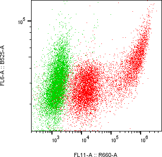 Rabbit-anti SPESP1 monoclonal antibody