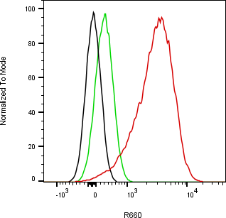 Rabbit-anti SMOC1 monoclonal antibody