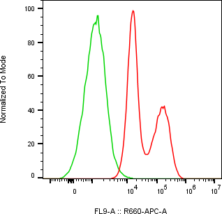 Rabbit-anti TTR monoclonal antibody