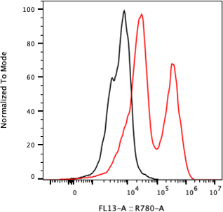 Rabbit-anti CTHRC1 monoclonal antibody