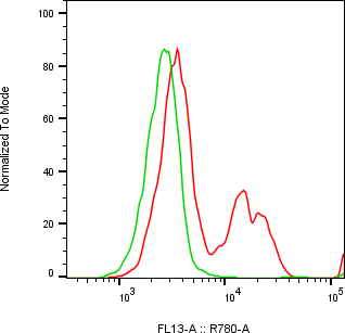 Rabbit-anti IL-1&alpha; monoclonal antibody