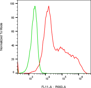 Rabbit-anti APOE monoclonal antibody