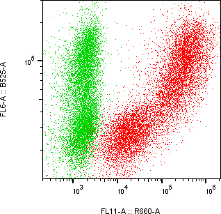 Rabbit-anti CFHR2 monoclonal antibody