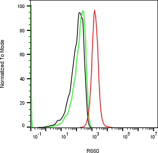 Rabbit-anti MMP3 monoclonal antibody