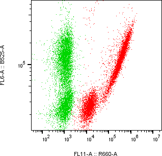 Rabbit-anti AXL monoclonal antibody