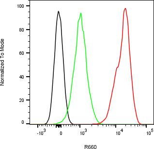 Rabbit-anti NPC2 monoclonal antibody